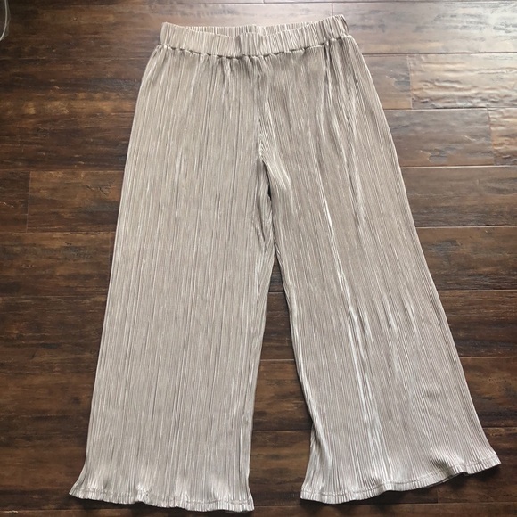 dolan Pants - Anthropologie Dolan Pleated Pants in Taupe | Medium | Pleated Pants | Anthro